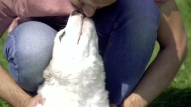 Köpek yavrusu Alabai. Belgili tanımlık köpek yavrusu Alabai öpüşme adam