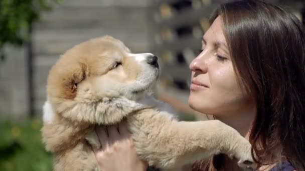 Köpek Yavrusu Alabai Kız Alabai Kukla Hugs — Stok video