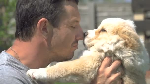 Puppy Alabai Guy Kissing Puppy Alabai — Stock Video