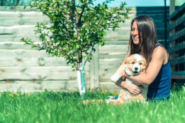 Köpek yavrusu Alabai. Kız Alabai kukla hugs