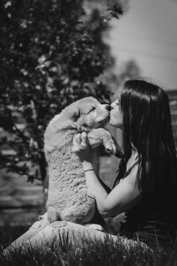 Köpek yavrusu Alabai. Kız Alabai kukla hugs