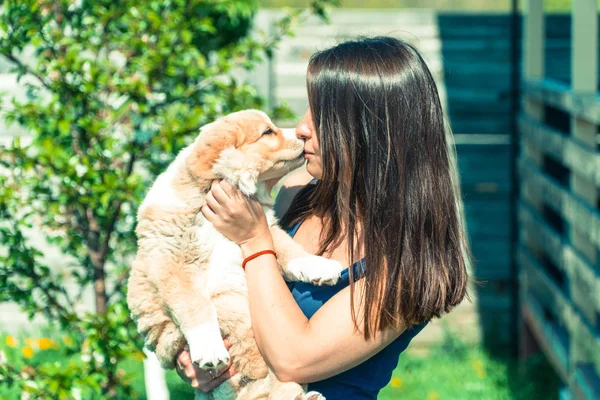 Köpek Yavrusu Alabai Kız Alabai Kukla Hugs — Stok fotoğraf