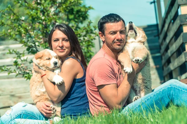 Valp Herdehund Valpar Kille Och Tjej Kram Centralasiatisk Herdehund Valpar — Stockfoto