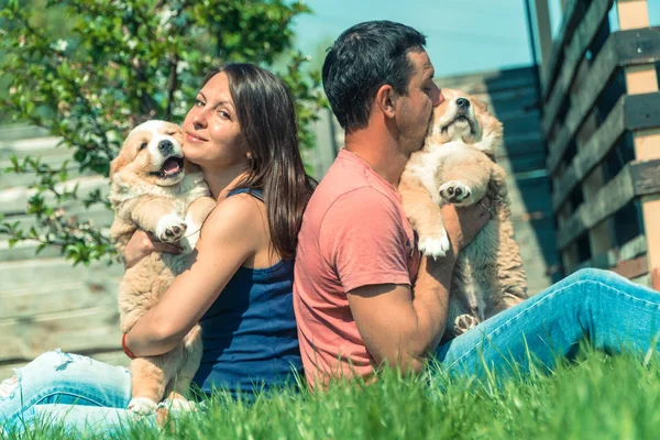 Valp Herdehund Valpar Kille Och Tjej Kram Centralasiatisk Herdehund Valpar — Stockfoto