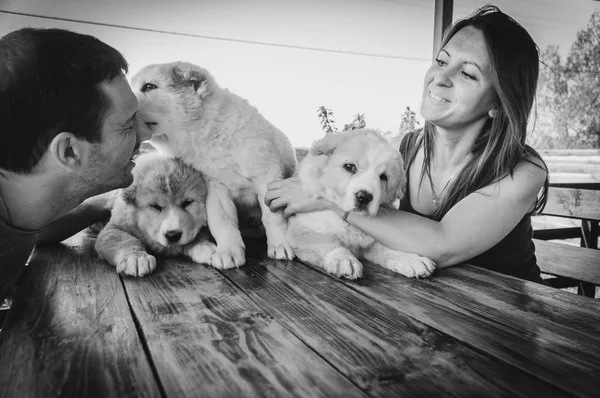 Filhote Cachorro Alabai Cara Uma Menina Abraçam Filhotes Alabai — Fotografia de Stock