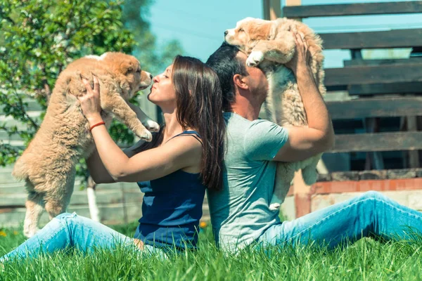 Valp Herdehund Valpar Kille Och Tjej Kram Centralasiatisk Herdehund Valpar — Stockfoto