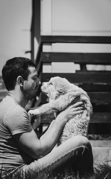 Puppy Alabai Guy Kissing Puppy Alabai — Stock Photo, Image