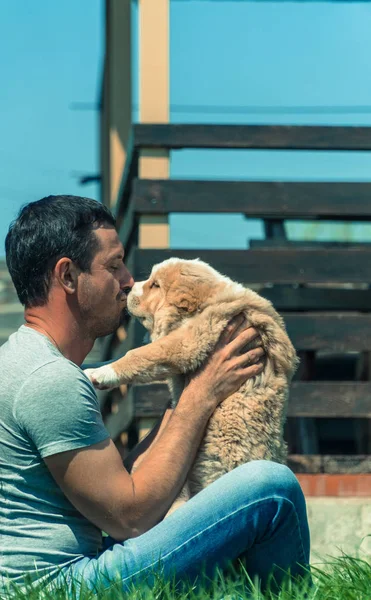 Puppy Alabai Guy Kissing Puppy Alabai — Stock Photo, Image