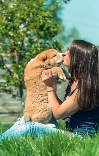 Chiot Alabai Fille Étreint Les Chiots Alabai — Photo