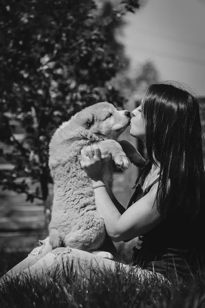 Puppy Alabai Girl Hugs Puppies Alabai — Stock Photo, Image