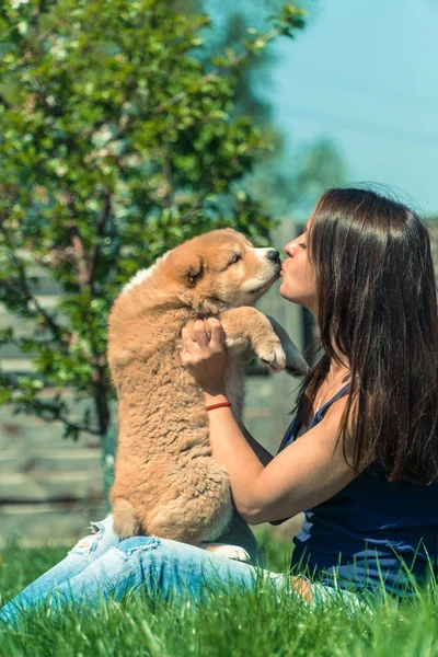 Puppy Alabai Chica Abraza Los Cachorros Alabai —  Fotos de Stock