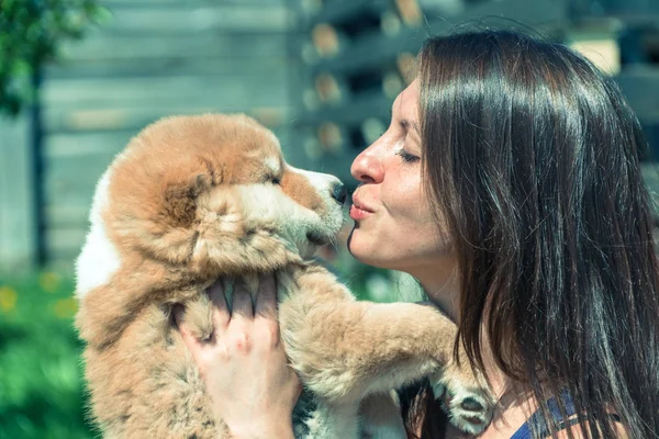 Cucciolo Alabai Ragazza Abbraccia Cuccioli Alabai — Foto Stock