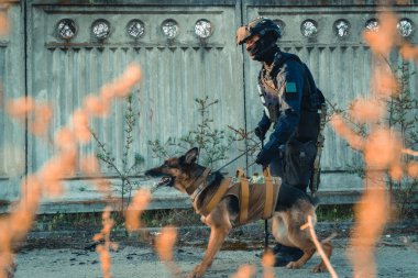 Cynologist. Eğitimli bir çoban köpeği ile askeri giysili bir adam
