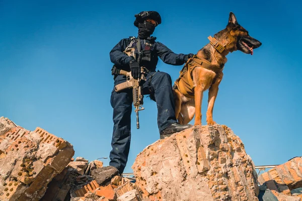 Cynologist. Eğitimli bir çoban köpeği ile askeri giysili bir adam