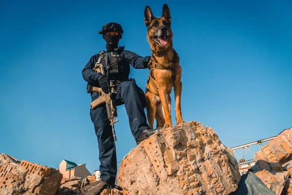 Cynologist Eğitimli Bir Çoban Köpeği Ile Askeri Giysili Bir Adam — Stok fotoğraf