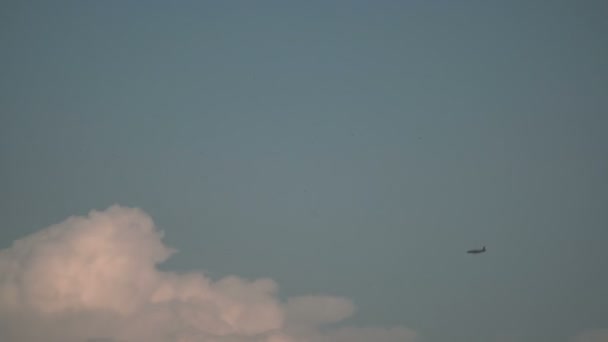 Aviones Avión Vuela Entre Las Nubes — Vídeo de stock