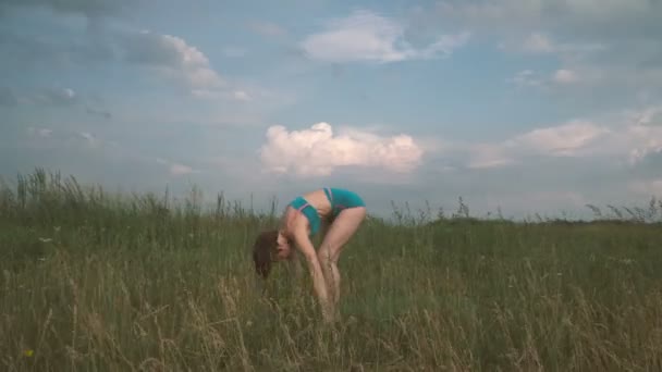 Yoga Fille Dans Domaine Dans Nature Pratiquant Yoga — Video