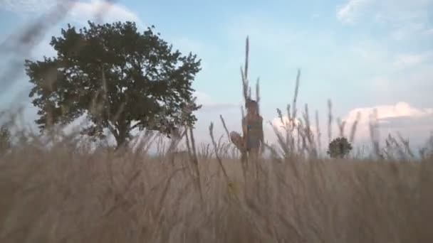 Yoga Mädchen Einem Feld Der Natur Praktiziert Yoga — Stockvideo