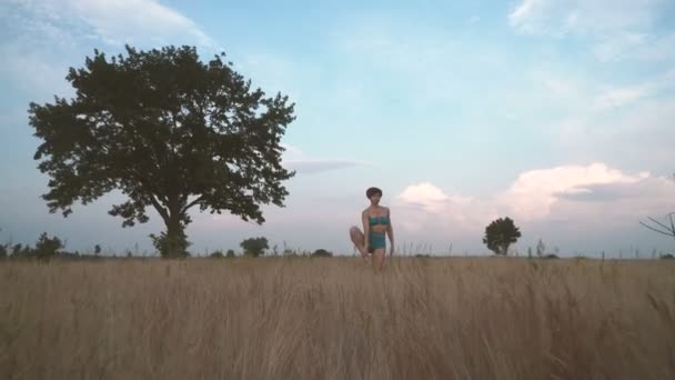 Йога Девушка Поле Природе Практикующая Йогу — стоковое видео