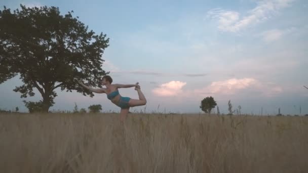 Yoga Menina Campo Natureza Praticando Ioga — Vídeo de Stock