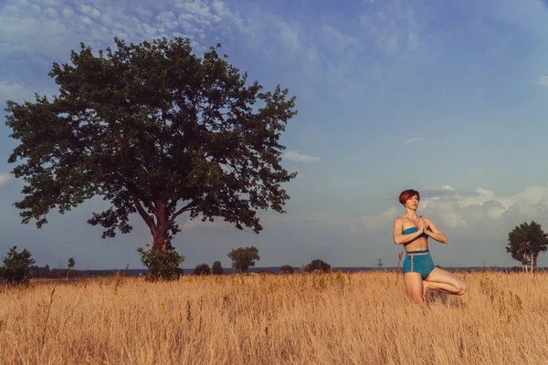 Yoga Meisje Een Veld Natuur Het Beoefenen Van Yoga — Stockfoto