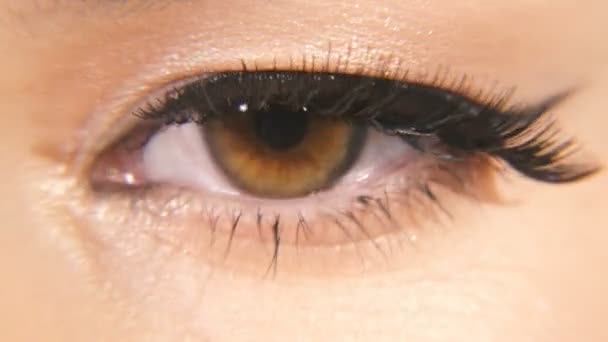 Kobiece Oczy Kobiece Oczy Przedłużonych Rzęs — Wideo stockowe