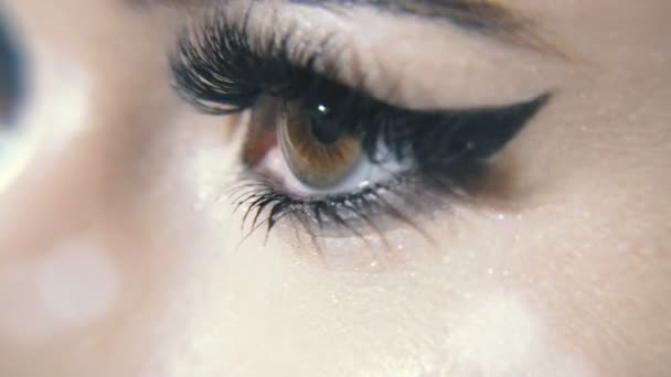 Kobiece Oczy Kobiece Oczy Przedłużonych Rzęs — Wideo stockowe