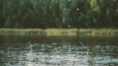 Anti. Kavak kabartmak nehir boyunca uçar