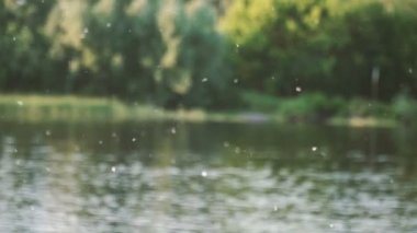 Anti. Kavak kabartmak nehir boyunca uçar