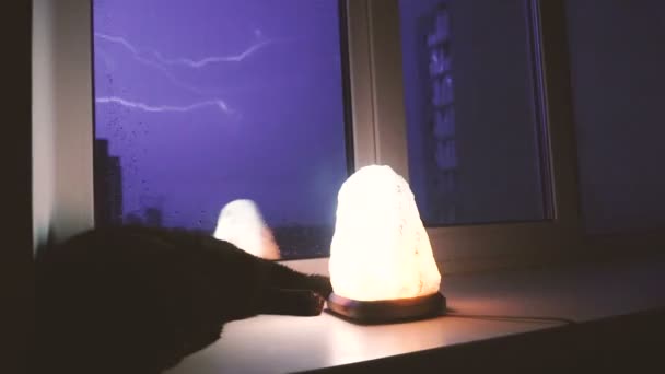 Lightning Cat Sleeps Windowsill Lightning — Stock Video