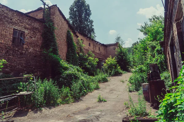 Arquitectura Abandonada Cubierta Vegetación —  Fotos de Stock