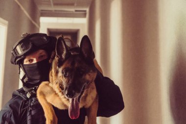 Cynologist. Özel Kuvvetler ile eğitimli bir köpek
