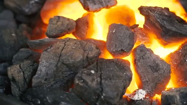 Уголь Свежий Уголь Уголь Свечной Уголь — стоковое видео