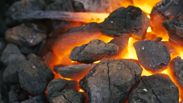 Carbón Carbón Incandescente Carbón Carbón Incandescente — Vídeos de Stock