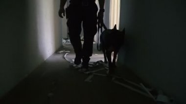 Özel bir köpek. Eğitimli bir köpek ile koru