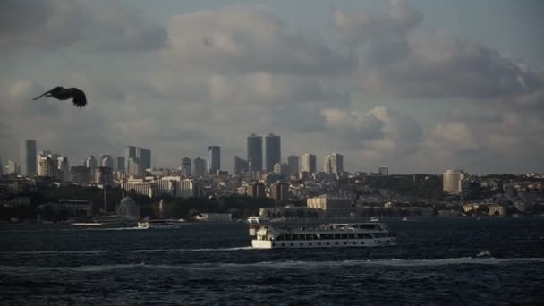 Θαλάσσιες Μεταφορές Σκάφη Που Πλέουν Φόντο Την Πόλη Της Κωνσταντινούπολης — Αρχείο Βίντεο