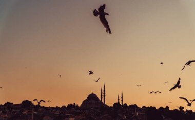 Türkiye. Istanbul şehri