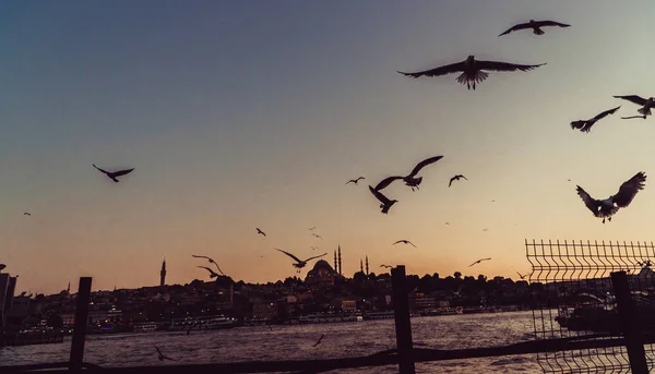 Türkiye Istanbul Şehri — Stok fotoğraf