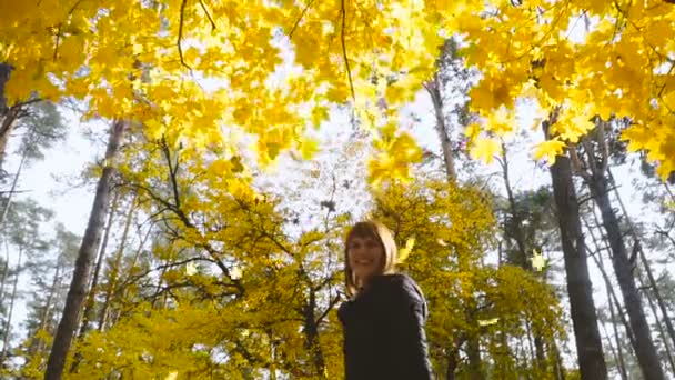 Ősszel Sárga Levelek Lehullanak — Stock videók