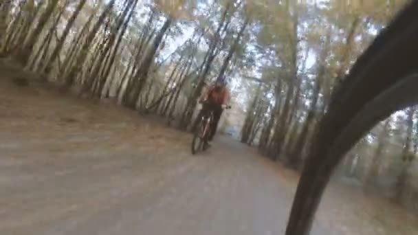 Велосипед Хлопець Їде Велосипеді Через Парк Осінь — стокове відео
