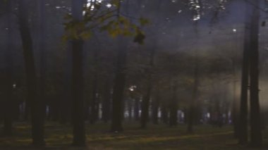 Füme orman park. Yangınlar nedeniyle park duman vardır.
