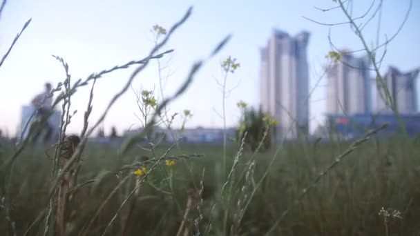 Run Ochtend Joggen Stad — Stockvideo