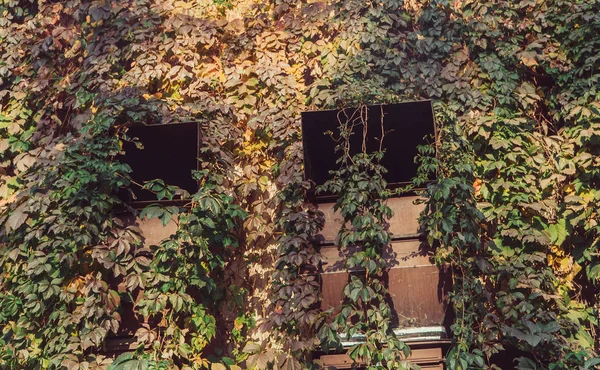 Trompet. Duman ile yeşil büyümüş boru