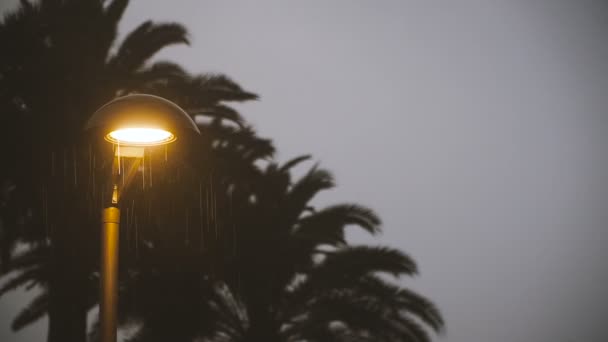 Regn Kraftigt Regn Träffar Asfalten Fötter Springa Igenom Vattenpölar — Stockvideo