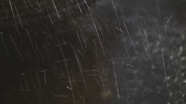 Pluie Fortes Pluies Frappent Asphalte Les Pieds Traversent Les Flaques — Video