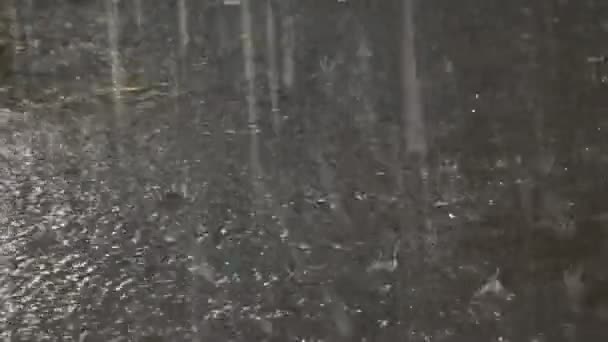Pioggia Pioggia Pesante Colpisce Asfalto Piedi Corrono Attraverso Pozzanghere — Video Stock