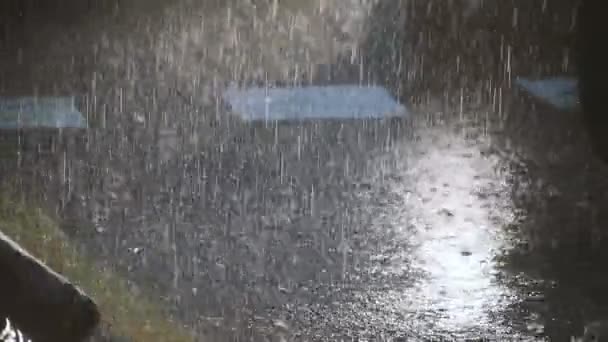 Chuva Chuva Pesada Atinge Asfalto Pés Correm Através Poças — Vídeo de Stock