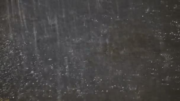 Pluie. De fortes pluies frappent l'asphalte, les pieds traversent les flaques 