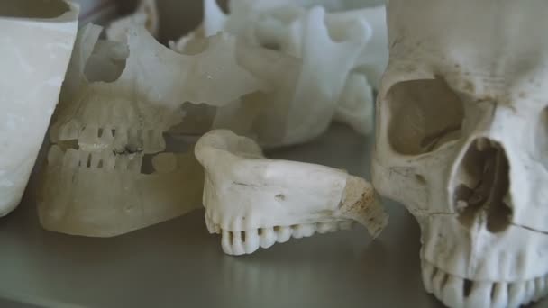 人类的头骨人类头骨的布局就在桌子上 — 图库视频影像