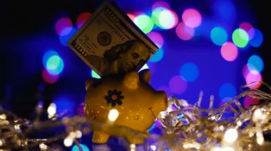 Yıl domuz. Dolar ile Piggy banka